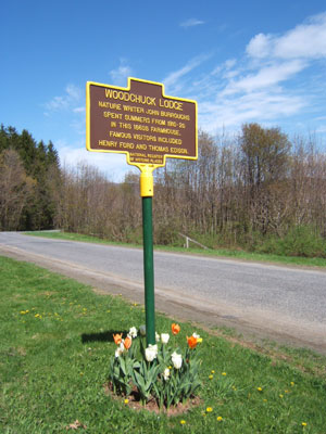 WL-sign-with-tulips