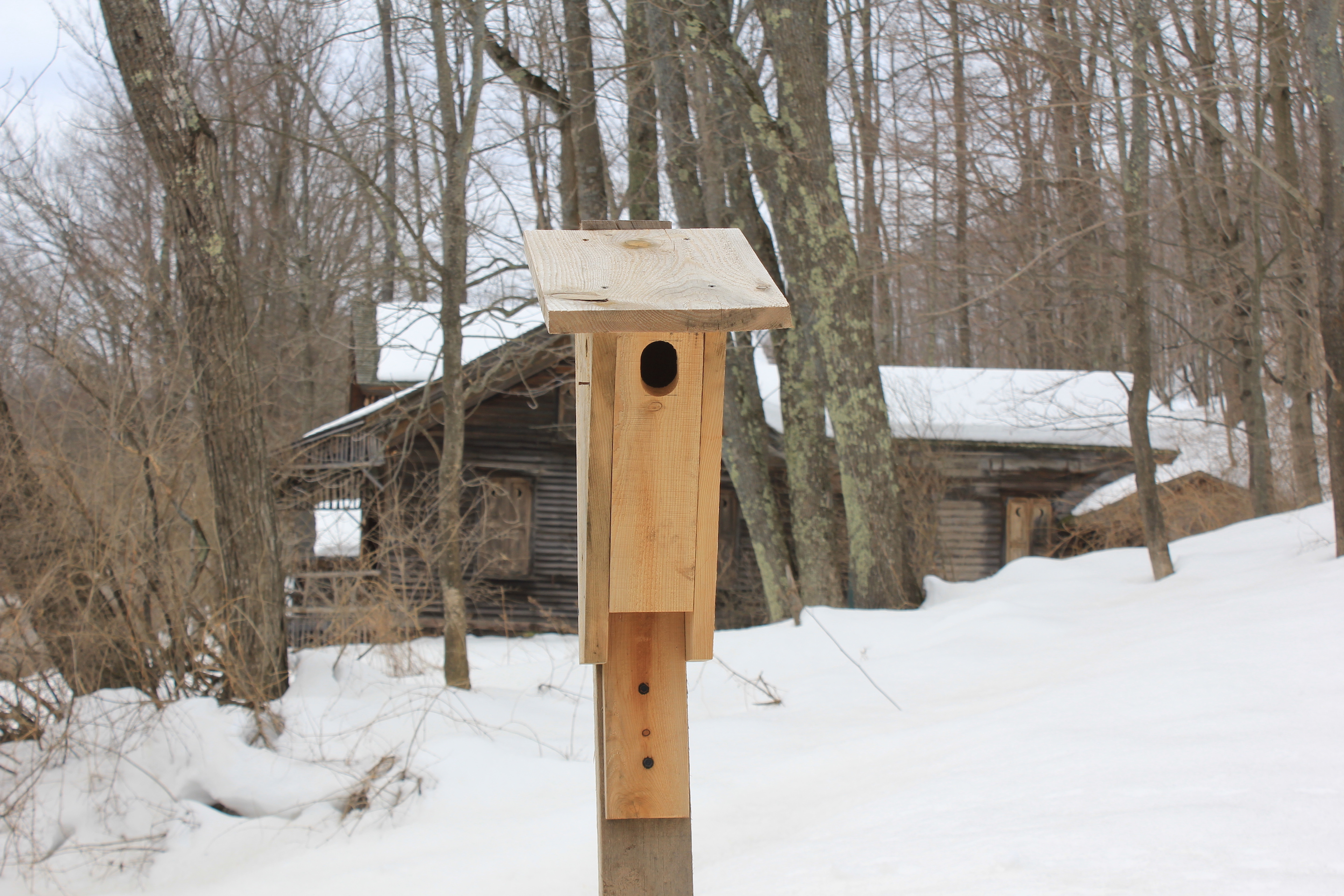 © J.N. Urbanski A Woodchuck Lodge Peterson Nesting Box